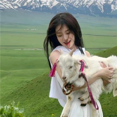 飞哥与小佛第二季