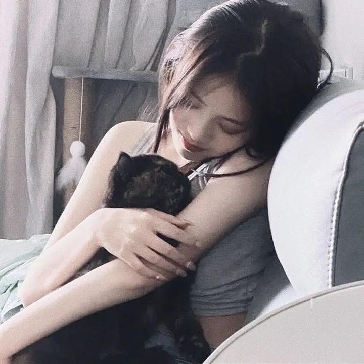 法网情丝粤语