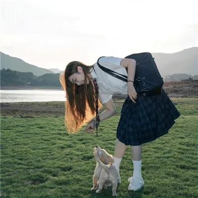爱犬情深